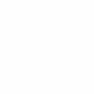 The Bean